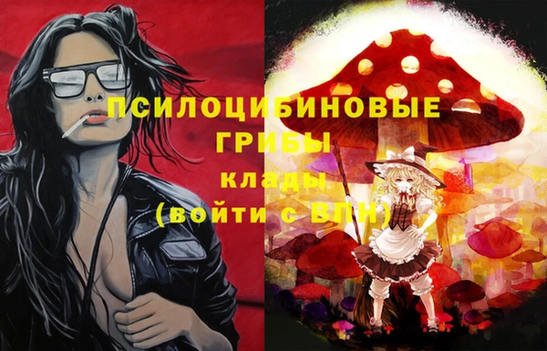 твердый Волоколамск